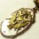 画像1: 【バーゲン】【希少】第二次世界大戦 アメリカ軍 フリーメイソン ナショナル ソージャナー（National Sojourners – US Military）イーグル ヴィンテージ リボンメダル 34×45mm (1)