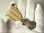 画像8: 【参考動画・画像有り】【極美形】【希少】《１９００年代初頭製》フランス アンティーク 聖母マリア LYON A MARIE（リヨンをマリアに捧ぐ）フルヴィエール大聖堂 メダイ著名彫刻家 PENIN作 23×37mm