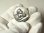 画像9: 【参考画像有り】“巨匠ラファエロ・サンティ『システィーナの聖母二人の天使 』”アンティーク エンボス（型押し）メダル 著名彫刻家 TAIRAC作 30mm