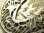 画像7: 【バーゲン】ヴィンテージ 透かしフレームの不思議のメダイ STERLING SILVER（銀９２５）24×36mm