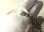 画像14: 【難有り】【バーゲン】【未彫刻】“重厚な太いチェーンが魅力”USA Speidel アメリカ　ヴィンテージ　ID　STERLING(銀９２５)　ブレスレット 21.5cm