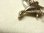画像7: 【バーゲン】アメリカ ヴィンテージ STERLING(銀９２５)グース（雁） ３Dチャーム　１９×２２mm