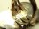 画像8: 【バーゲン】アメリカ USED ヴィンテージ シルバー（銀） “草木をモティーフ装飾”アーティスト DON リング  サイズ 18号
