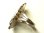 画像9: 【バーゲン】アメリカ USED ヴィンテージ シルバー（銀） “草木をモティーフ装飾”アーティスト DON リング  サイズ 18号