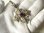 画像17: “ローマ法王により最初の十字軍のシンボルとして与えられた紋章”ヴィンテージ シルバー（銀製）パープルストーン エルサレムクロス 43×48mm【レギュラーサイズ】【参考画像有り】