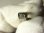 画像12: 【バーゲン】“素朴なハンドメイドが魅力！”メキシコ ヴィンテージ USE SILVER(銀９２５)クロス（十字架）26×37mm