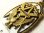 画像3: 【バーゲン】【希少】第二次世界大戦 アメリカ軍 フリーメイソン ナショナル ソージャナー（National Sojourners – US Military）イーグル ヴィンテージ リボンメダル 34×45mm