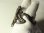 画像15: 【極美形】フランス アンティーク アール・ヌーヴォー シルバー（銀製）“髪がなびく貴婦人”カフ ブレスレット