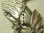 画像4: 【大型サイズ】《当店初入荷》ヴィンテージ ロザリオを持つお祈りのメダイ ペンダント STERLING(銀９２５) 41×56mm