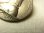 画像4: フランス アンティーク ジャンヌ・ダルク SILVER PLATED メダイ　CHARLES LAVRILLIER 作 20mm【参考動画・画像有り】【バーゲン】
