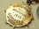 画像7: 【１９３３年】イギリス アンティーク 「聖杯」 リボンバッチ "Eucharistic Congress（聖体拝領会議）" "Coleshill 1933（イギリス コールズヒル1933年）" 