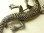 画像4: ヴィンテージ STERLING(銀925製) マーカサイト 蜥蜴（トカゲ）のブローチ 77mm《爬虫類マニアにおすすめ！キモかわいい》