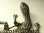 画像3: ヴィンテージ STERLING(銀925製) マーカサイト 蜥蜴（トカゲ）のブローチ 77mm《爬虫類マニアにおすすめ！キモかわいい》