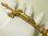 画像6: “アール・ヌーヴォー装飾が美しい”アメリカ アンティーク 自立クロス ゴールドカラー 16.5cm【バーゲン】
