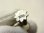 画像9: アンティーク シェルカメオ シルバー（銀800）ピンブローチ イアリング セット 【バーゲン】